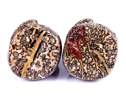 Nicedony Red Leopard Skin Jasper Hand Carved Crystal Frog Sculpture - View 7