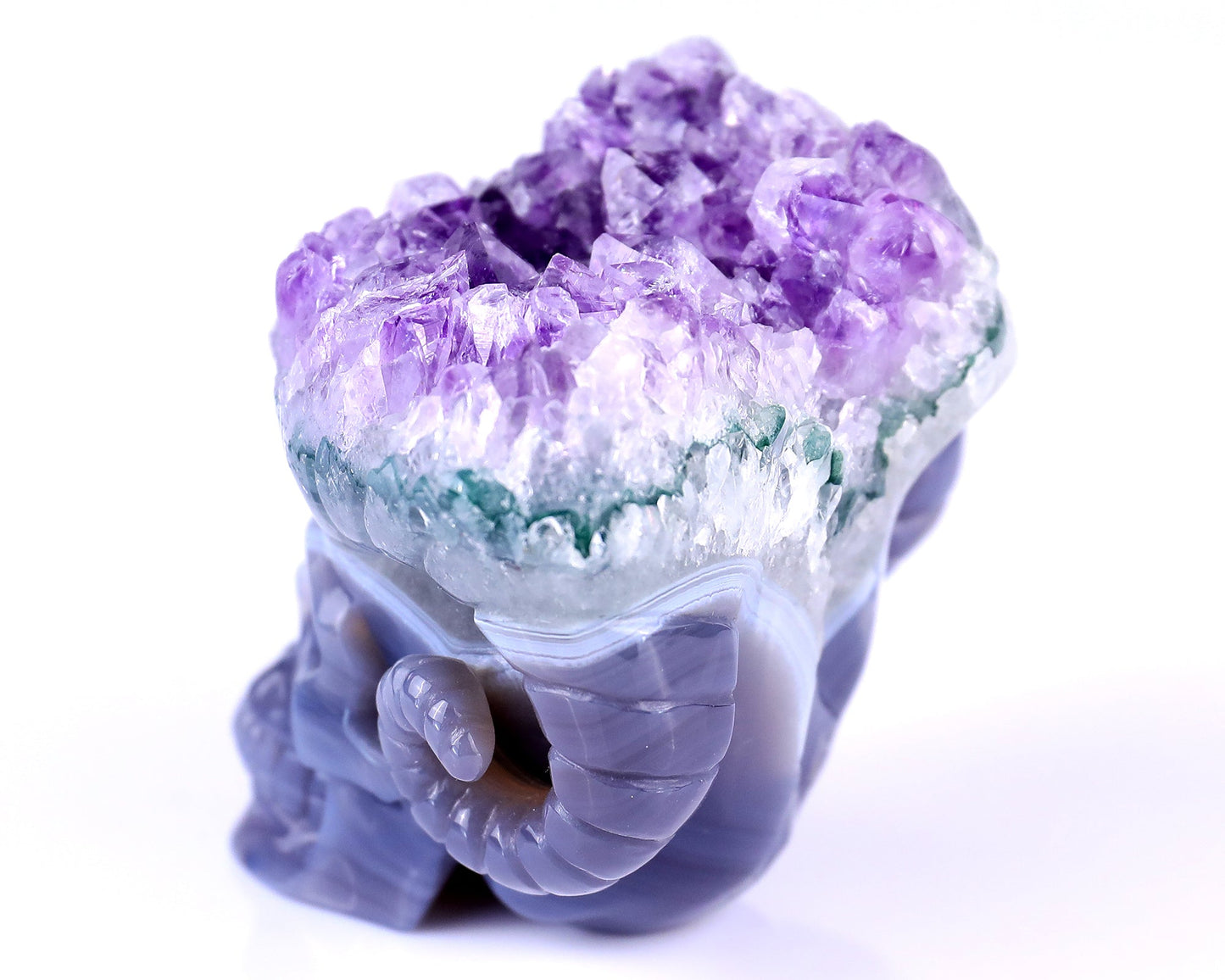 Nicedony Unique 2.9" Amethyst Druse Agate Hand Carved Mineral Specimen Skull with Horn Sculpture - View 6