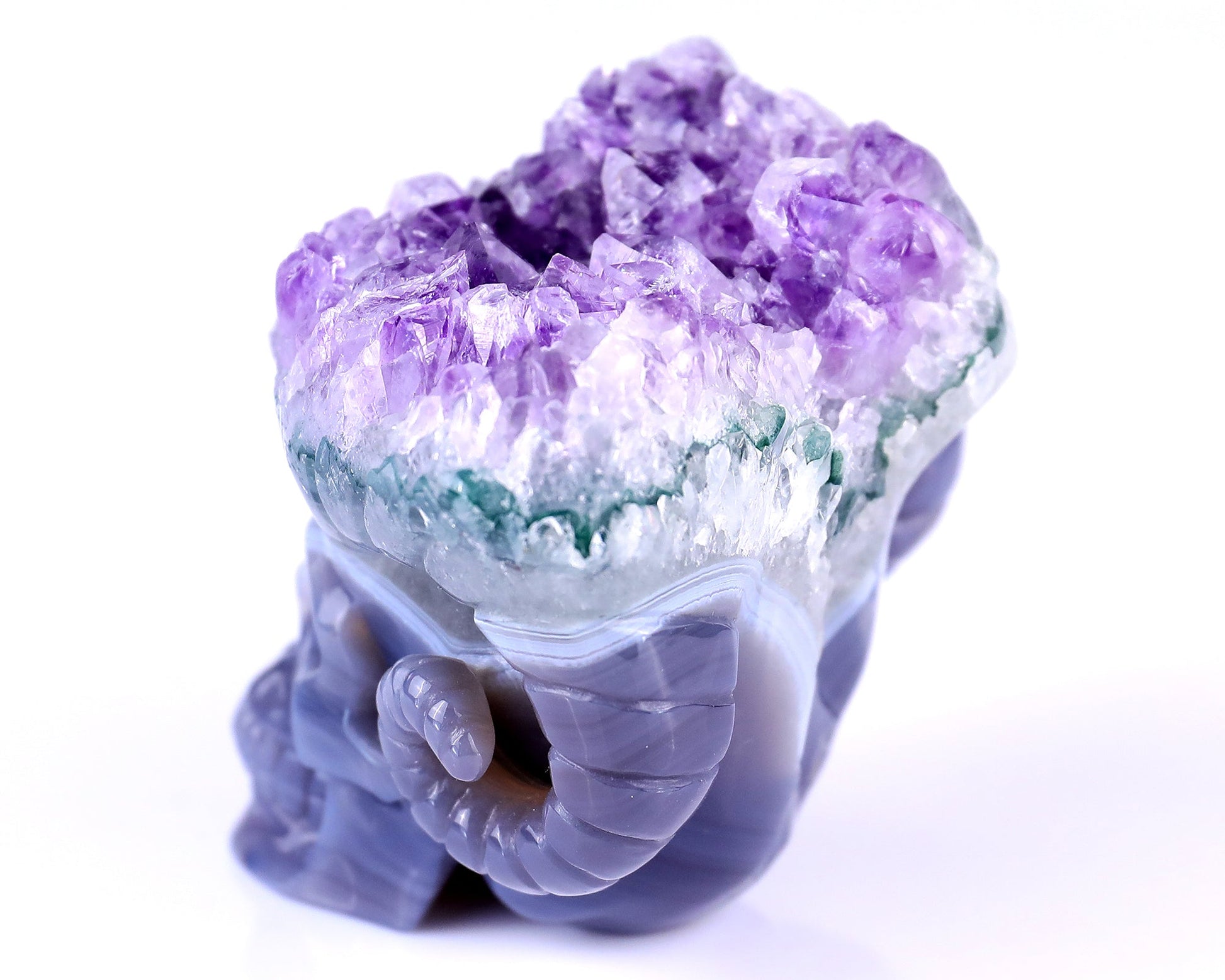Nicedony Unique 2.9" Amethyst Druse Agate Hand Carved Mineral Specimen Skull with Horn Sculpture - View 6