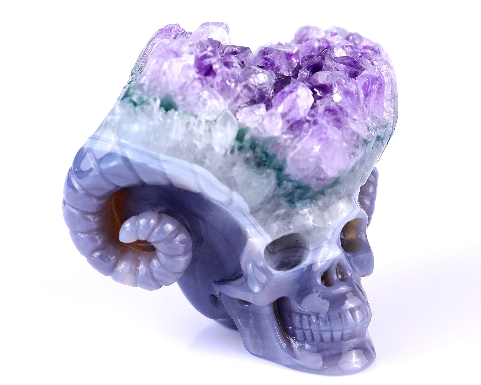 Nicedony Unique 2.9" Amethyst Druse Agate Hand Carved Mineral Specimen Skull with Horn Sculpture