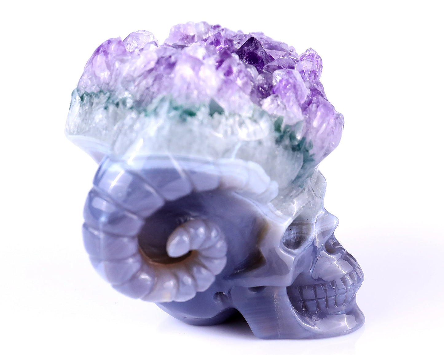 Nicedony Unique 2.9" Amethyst Druse Agate Hand Carved Mineral Specimen Skull with Horn Sculpture - View 3