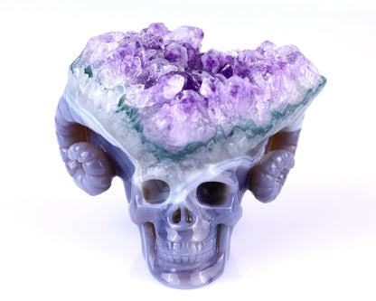 Nicedony Unique 2.9" Amethyst Druse Agate Hand Carved Mineral Specimen Skull with Horn Sculpture - View 2