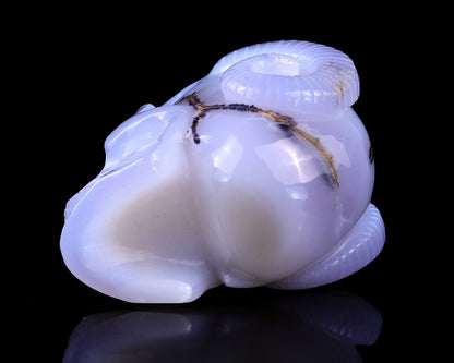 Nicedony 3.9" Blue Chalcedony Hand Carved Realistic Skull and Horn - View 6