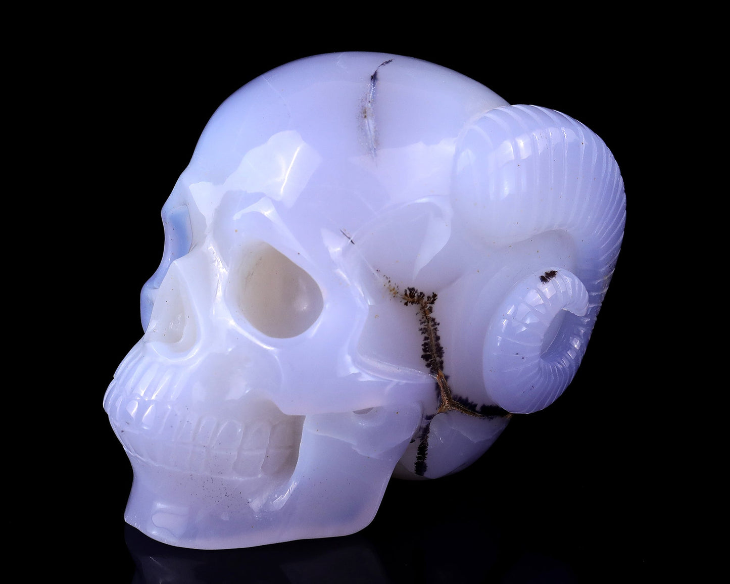 Nicedony 3.9" Blue Chalcedony Hand Carved Realistic Skull and Horn - View 7