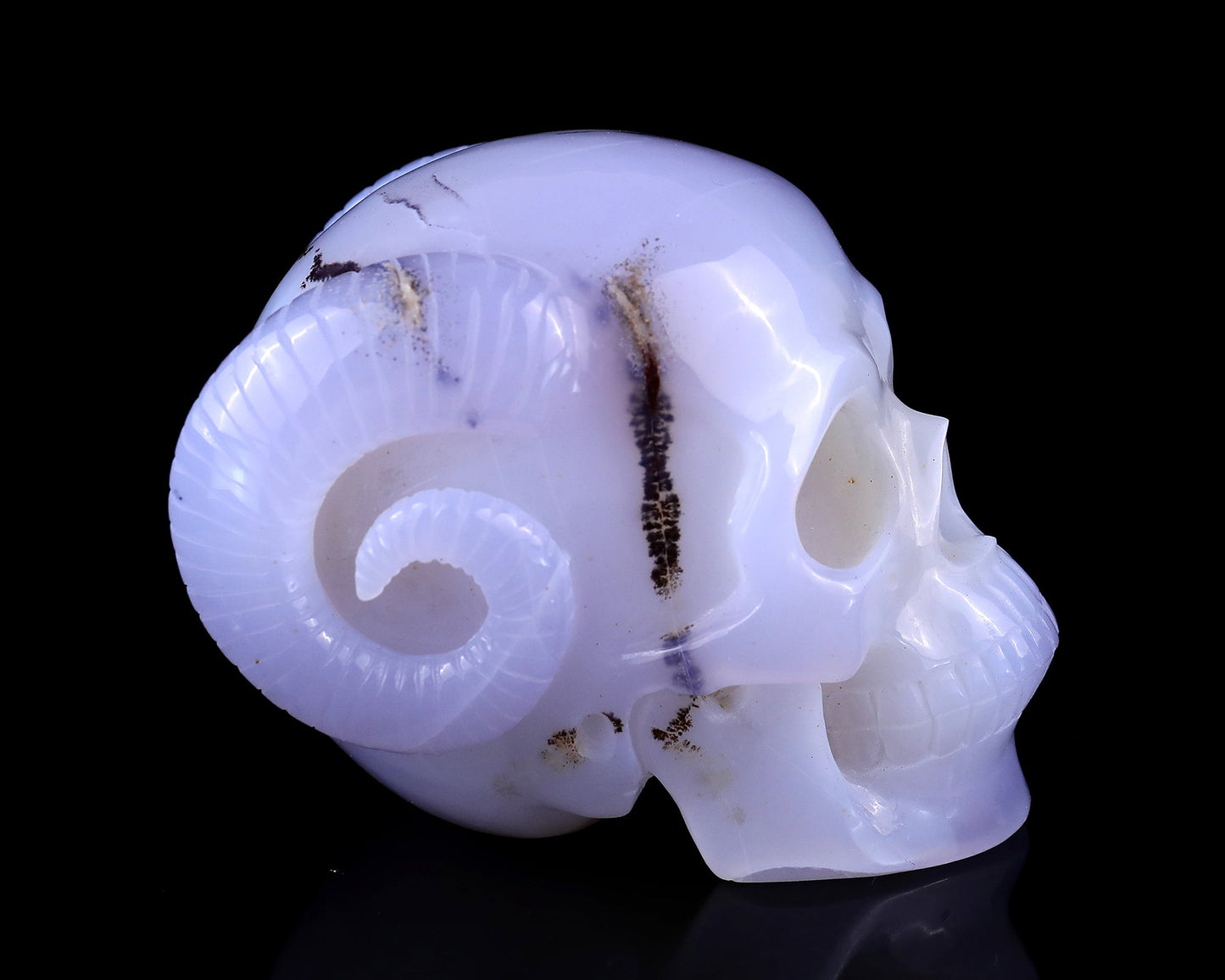 Nicedony 3.9" Blue Chalcedony Hand Carved Realistic Skull and Horn - View 3