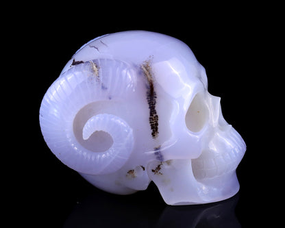 Nicedony 3.9" Blue Chalcedony Hand Carved Realistic Skull and Horn - View 3