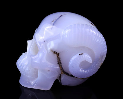 Nicedony 3.9" Blue Chalcedony Hand Carved Realistic Skull and Horn - View 4