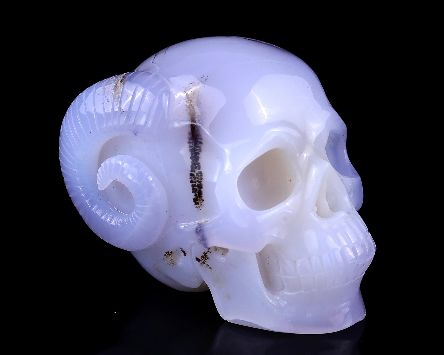 Nicedony 3.9" Blue Chalcedony Hand Carved Realistic Skull and Horn