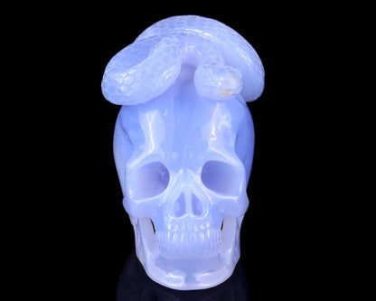 Nicedony 4.5" Blue Chalcedony Hand Carved Realistic Skull with Snake - View 2