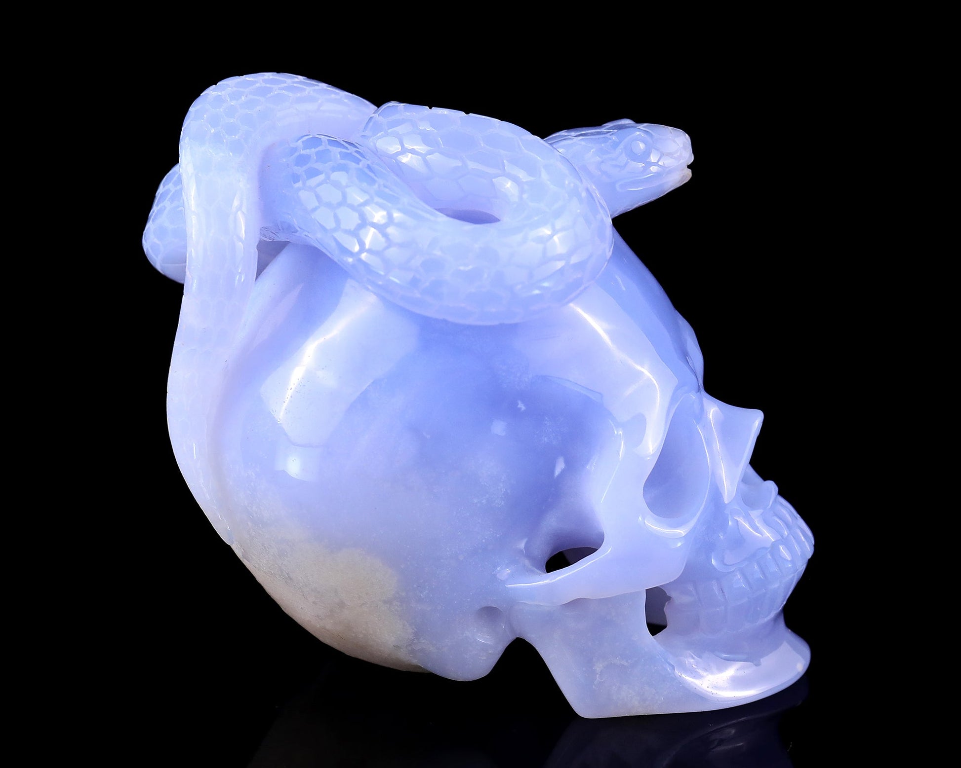 Nicedony 4.5" Blue Chalcedony Hand Carved Realistic Skull with Snake - View 3