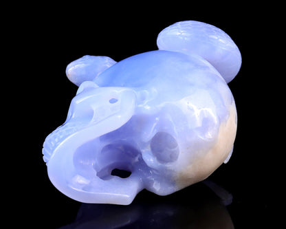 Nicedony 4.5" Blue Chalcedony Hand Carved Realistic Skull with Snake - View 6