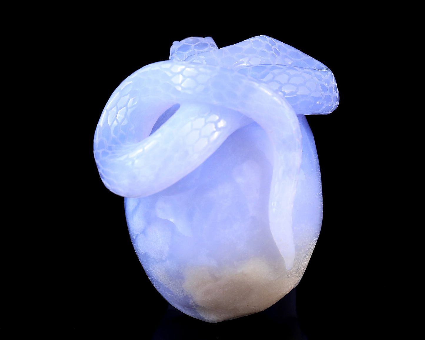 Nicedony 4.5" Blue Chalcedony Hand Carved Realistic Skull with Snake - View 5