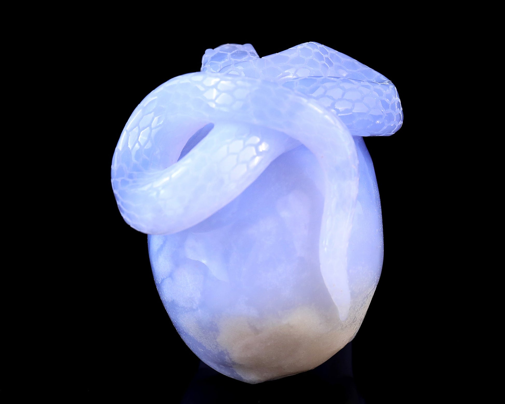 Nicedony 4.5" Blue Chalcedony Hand Carved Realistic Skull with Snake - View 5