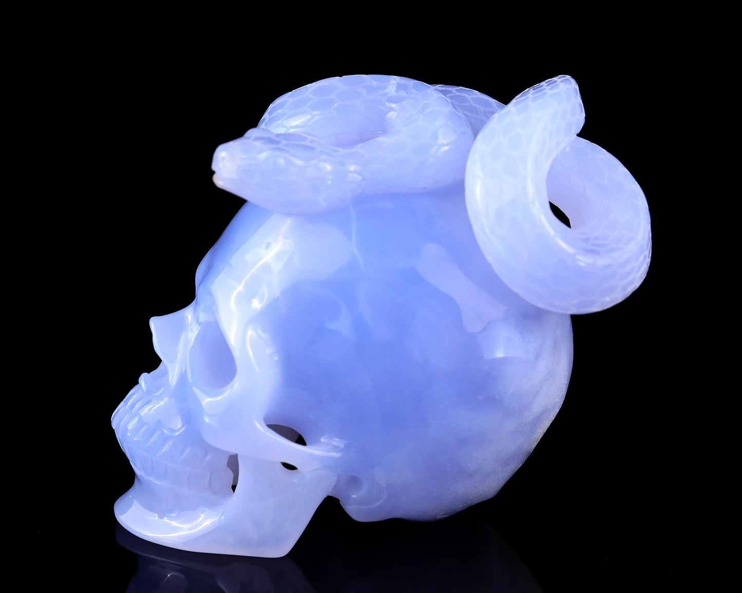 Nicedony 4.5" Blue Chalcedony Hand Carved Realistic Skull with Snake - View 4