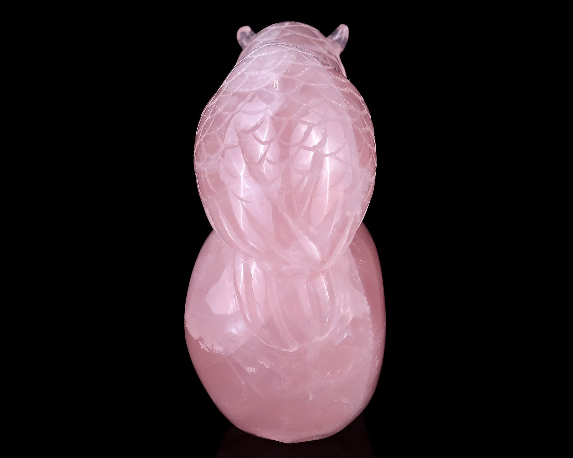 Nicedony 5.5" Rose Quartz Hand Carved Realistic Skull with Owl - View 6
