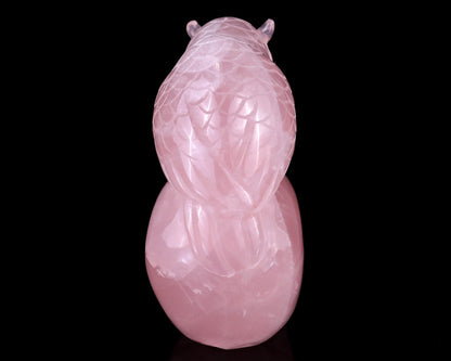 Nicedony 5.5" Rose Quartz Hand Carved Realistic Skull with Owl - View 6