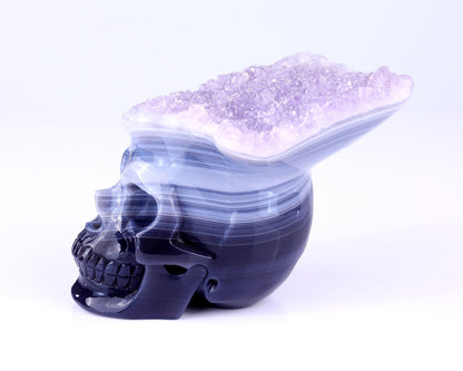 Nicedony Unique 6.3" Amethyst Druse Agate Hand Carved Crystal Mineral Specimen Skull Sculpture - View 4