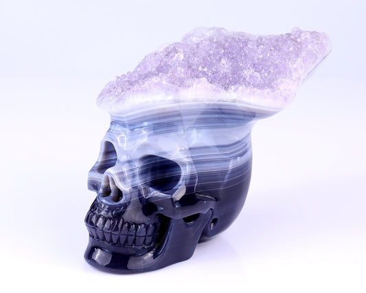 Nicedony Unique 6.3" Amethyst Druse Agate Hand Carved Crystal Mineral Specimen Skull Sculpture