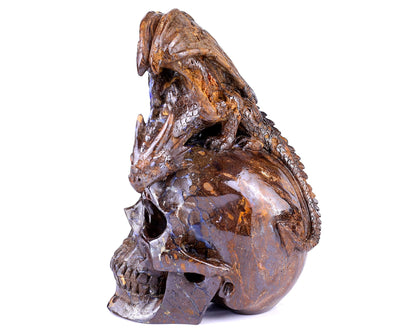 Nicedony Unique 7.0" Opal Hand Carved Crystal Realistic Skull Sculpture - View 4