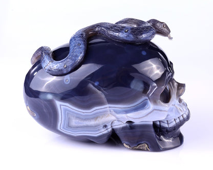 Nicedony Unique 7.1" Amethyst Geode Agate Hand Carved Crystal Geode Skull Sculpture - View 4