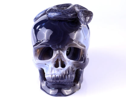 Nicedony Unique 7.1" Amethyst Geode Agate Hand Carved Crystal Geode Skull Sculpture - View 3