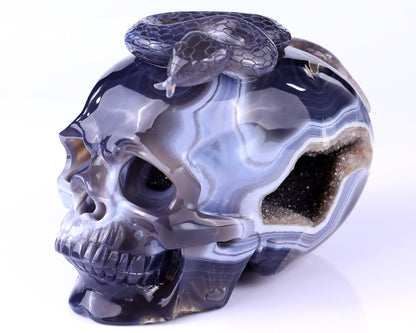 Nicedony Unique 7.1" Amethyst Geode Agate Hand Carved Crystal Geode Skull Sculpture - View 8