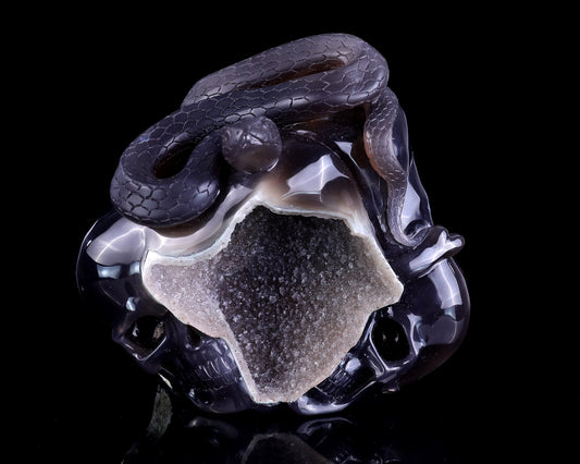 Nicedony Unique 7.1" Geode Agate Hand Carved Crystal Realistic Skull and Snake Sculpture