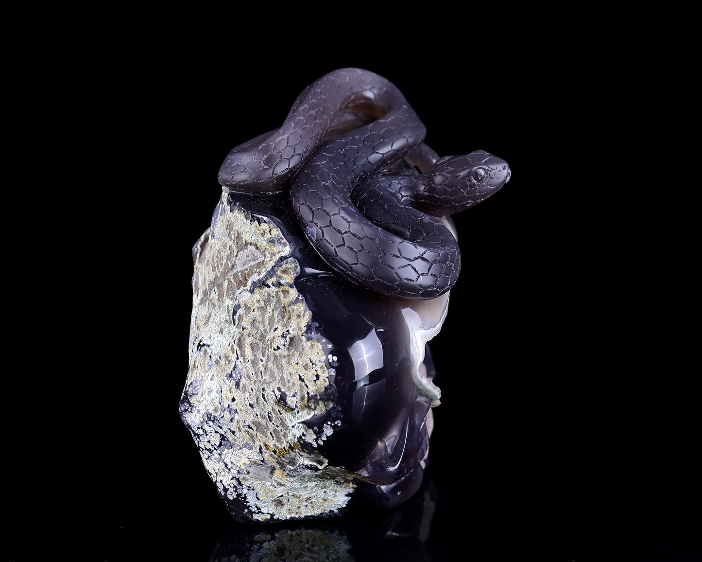 Nicedony Unique 7.1" Geode Agate Hand Carved Crystal Realistic Skull and Snake Sculpture - View 3