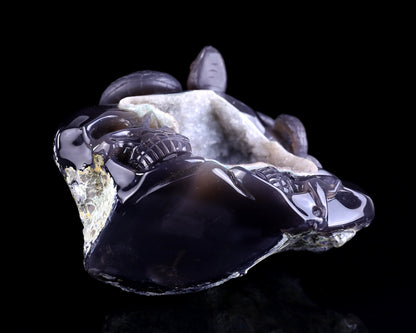 Nicedony Unique 7.1" Geode Agate Hand Carved Crystal Realistic Skull and Snake Sculpture - View 6