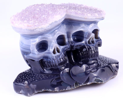 Nicedony 7.9"Amethyst Druse Agate Hand Carved Skulls Sculpture