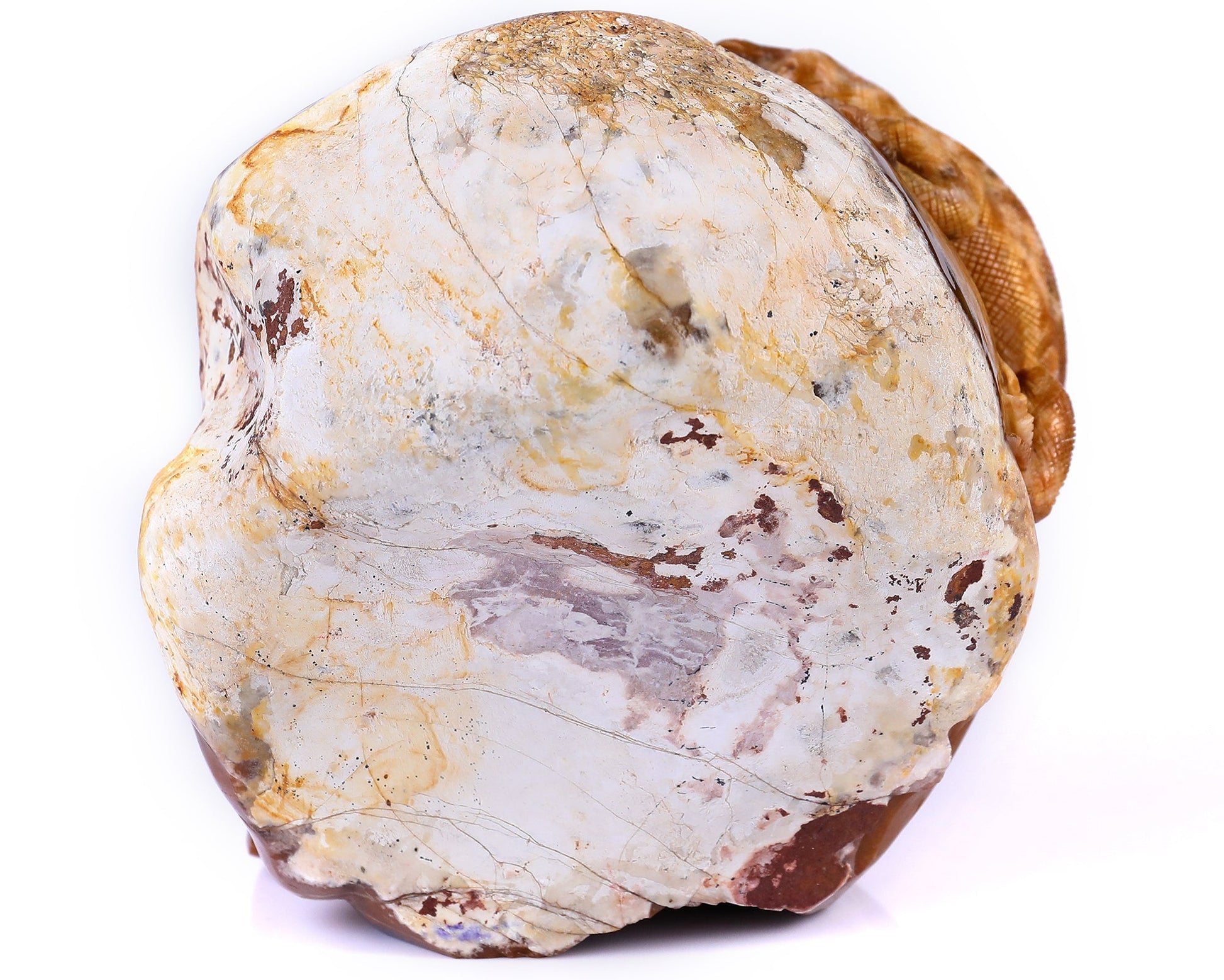 Nicedony Unique 7.9" Chalcedony Hand Carved Crystal Geode Skull with Lizard Sculpture - View 7