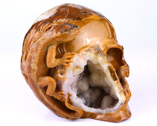 Nicedony Unique 7.9" Chalcedony Hand Carved Crystal Geode Skull with Lizard Sculpture