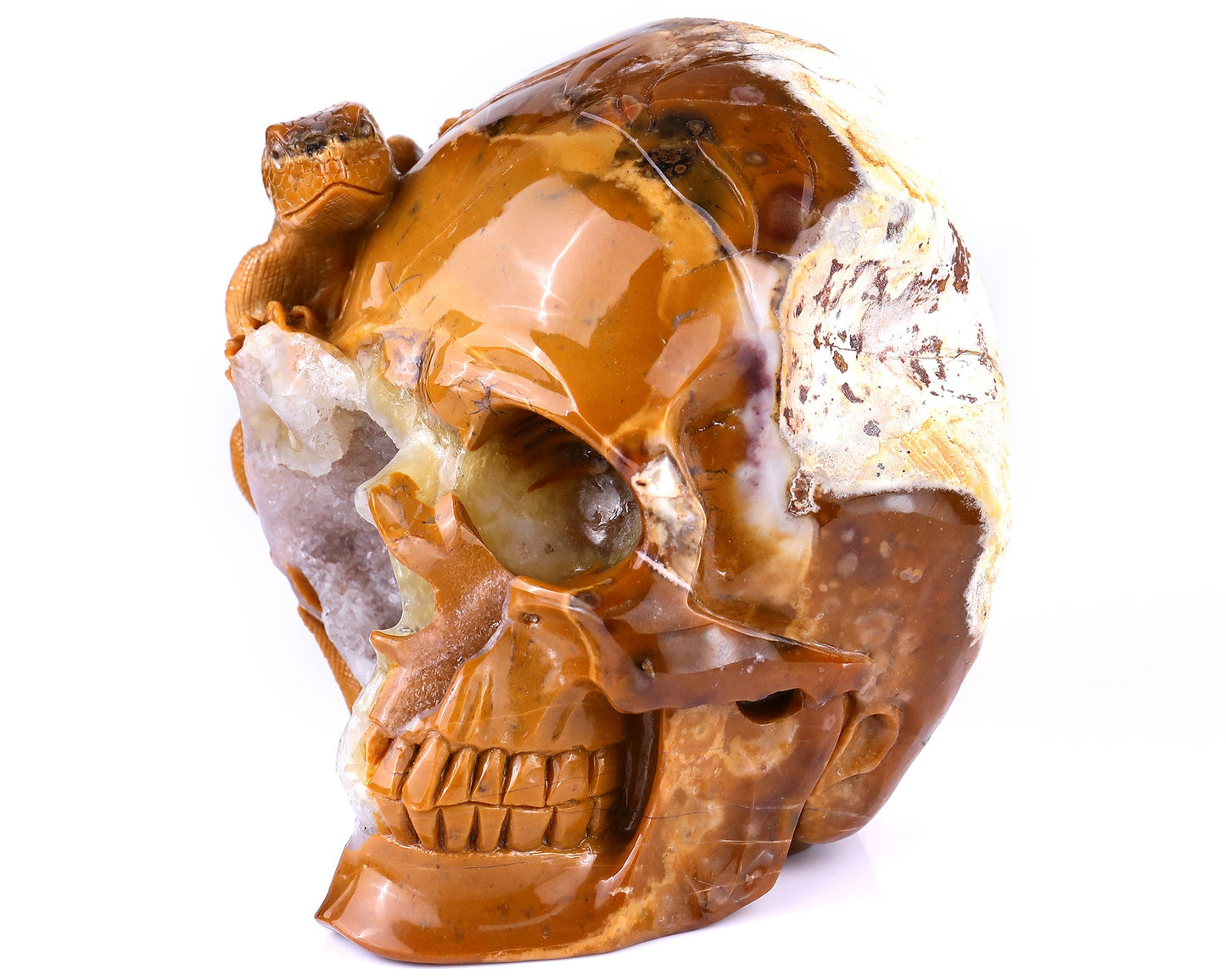 Nicedony Unique 7.9" Chalcedony Hand Carved Crystal Geode Skull with Lizard Sculpture - View 8