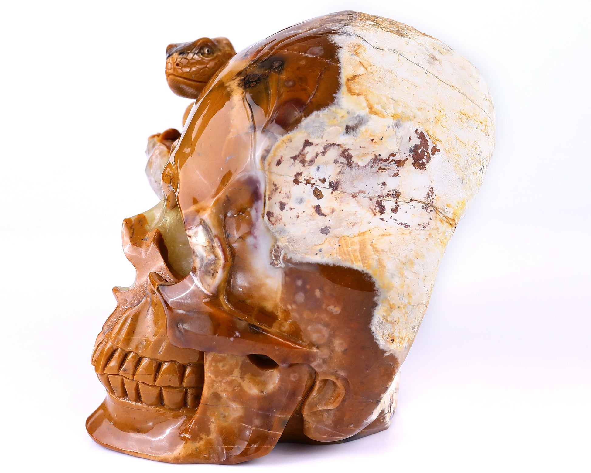 Nicedony Unique 7.9" Chalcedony Hand Carved Crystal Geode Skull with Lizard Sculpture - View 6