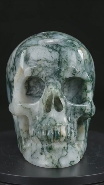 Nicedony 4.5" Moss Agate Hand Carved Crystal Realistic Skull Sculpture (SKU: skh45ma01) - Video