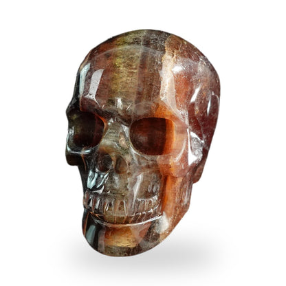 Rainbow Fluorite crystal skull 3" SKH30GF01 view 7