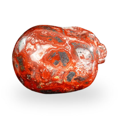 Red Crazy Lace Agate crystal skull 2.2" SKH20RC02 photo 8