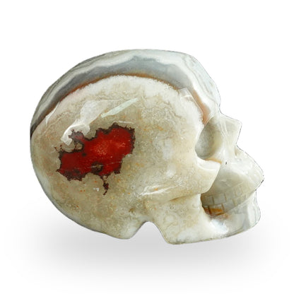 Red Crazy Lace Agate crystal skull 2.2" SKH20RC03 photo 5