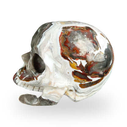 Red Crazy Lace Agate crystal skull 2.2" SKH20RC04 photo 7