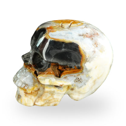 Red Crazy Lace Agate crystal skull 2.2" SKH20RC06 photo 6