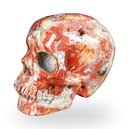 Red Crazy Lace Agate crystal skull 2.2" SKH20RC09 photo 7