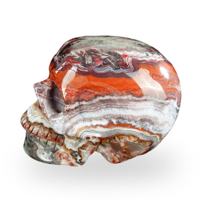 Red Crazy Lace Agate crystal skull 2.2" SKH20RC10 photo 6