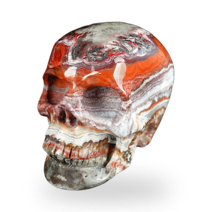Red Crazy Lace Agate crystal skull 2.2" SKH20RC10 photo 8