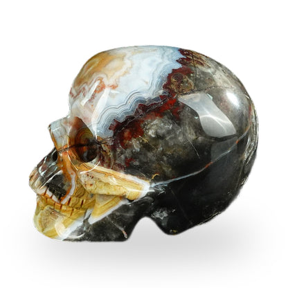 Red Crazy Lace Agate crystal skull 2.2" SKH20RC16 photo 6