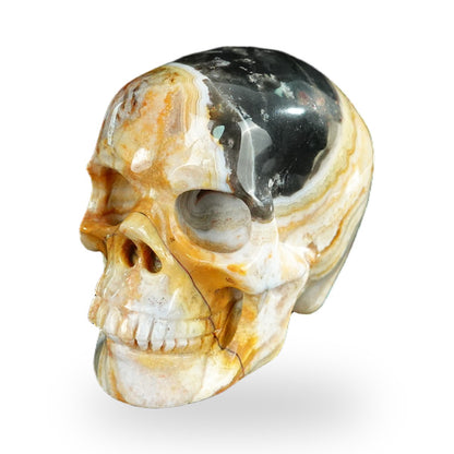 Red Crazy Lace Agate crystal skull 2.2" SKH20RC20 photo 8