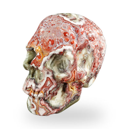 Red Crazy Lace Agate crystal skull 3" SKH30RC01 view 2