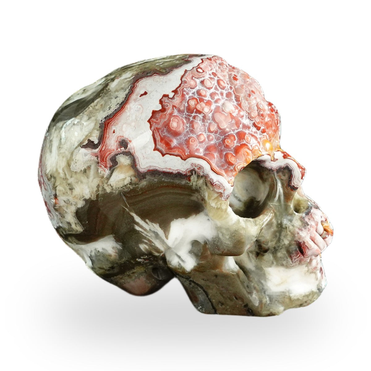 Red Crazy Lace Agate crystal skull 3" SKH30RC01 view 5