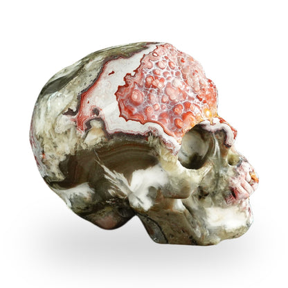Red Crazy Lace Agate crystal skull 3" SKH30RC01 view 5
