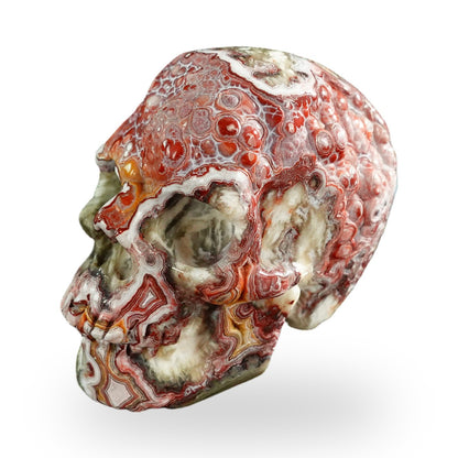 Red Crazy Lace Agate crystal skull 3" SKH30RC01 view 8