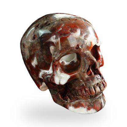 Red Crazy Lace Agate crystal skull 3" SKH30RC02 photo 4